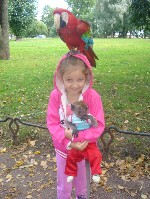 �����������